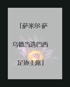 萨米尔·萨乌德当选巴西足协主席