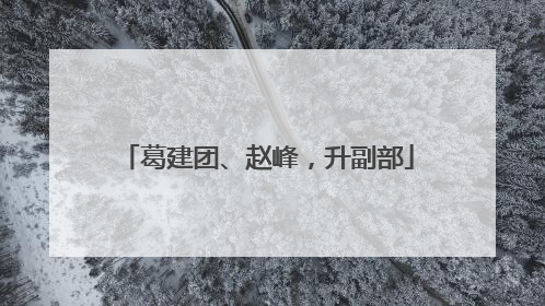 葛建团、赵峰，升副部
