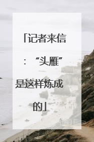 记者来信：“头雁”是这样炼成的