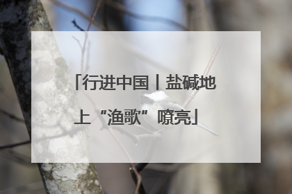 行进中国丨盐碱地上“渔歌”嘹亮