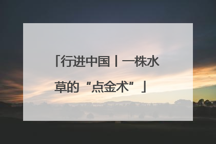 行进中国丨一株水草的“点金术”