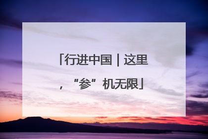 行进中国｜这里，“参”机无限