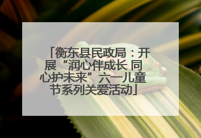衡东县民政局：开展“润心伴成长 同心护未来”六一儿童节系列关爱活动