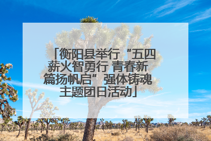 衡阳县举行“五四薪火智勇行 青春新篇扬帆启”强体铸魂主题团日活动