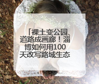 裸土变公园、道路成画廊！淄博如何用100天改写路域生态版图？