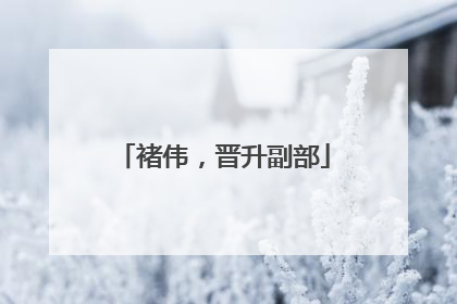 褚伟，晋升副部