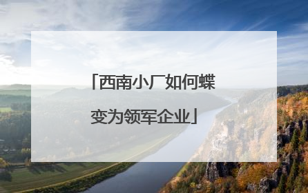 西南小厂如何蝶变为领军企业