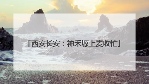 西安长安：神禾塬上麦收忙