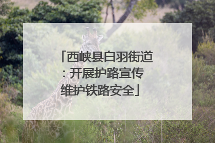 西峡县白羽街道：开展护路宣传 维护铁路安全