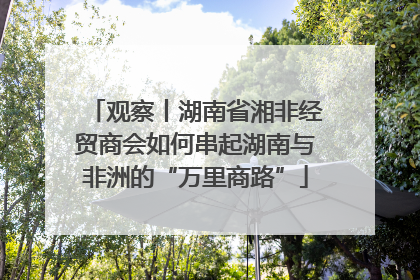 观察丨湖南省湘非经贸商会如何串起湖南与非洲的“万里商路”