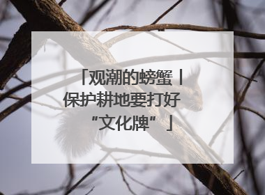 观潮的螃蟹丨保护耕地要打好“文化牌”
