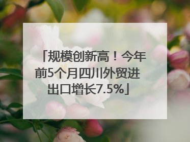 规模创新高！今年前5个月四川外贸进出口增长7.5%