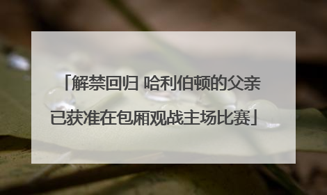 解禁回归 哈利伯顿的父亲已获准在包厢观战主场比赛