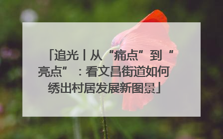 追光丨从“痛点”到“亮点”：看文昌街道如何绣出村居发展新图景