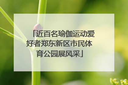 近百名瑜伽运动爱好者郑东新区市民体育公园展风采