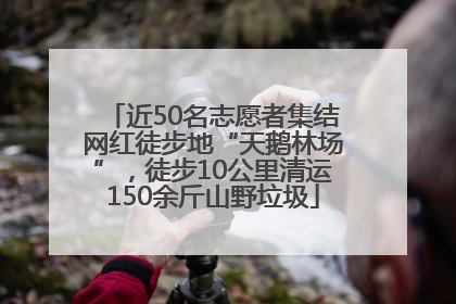 近50名志愿者集结网红徒步地“天鹅林场”，徒步10公里清运150余斤山野垃圾