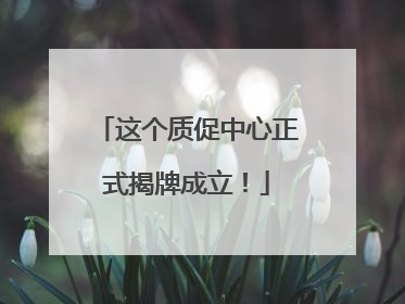 这个质促中心正式揭牌成立！
