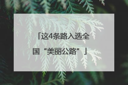 这4条路入选全国“美丽公路”