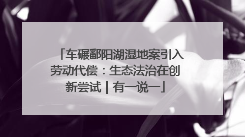车碾鄱阳湖湿地案引入劳动代偿：生态法治在创新尝试｜有一说一