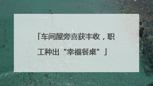 车间屋旁喜获丰收，职工种出“幸福餐桌”