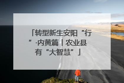 转型新生安阳“行”·内黄篇丨农业县有“大智慧”