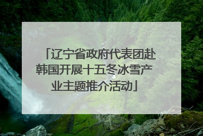辽宁省政府代表团赴韩国开展十五冬冰雪产业主题推介活动