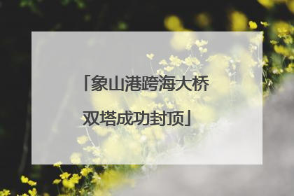 象山港跨海大桥双塔成功封顶