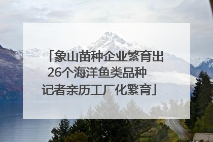 象山苗种企业繁育出26个海洋鱼类品种 记者亲历工厂化繁育