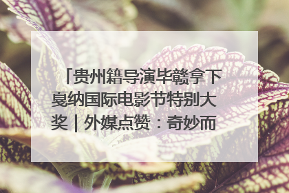 贵州籍导演毕赣拿下戛纳国际电影节特别大奖｜外媒点赞：奇妙而广阔的纯粹电影梦