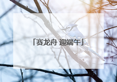 赛龙舟 迎端午