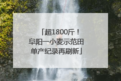 超1800斤！阜阳一小麦示范田单产纪录再刷新