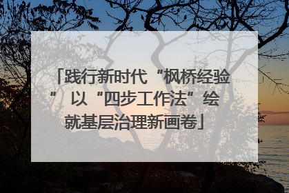 践行新时代“枫桥经验” 以“四步工作法”绘就基层治理新画卷