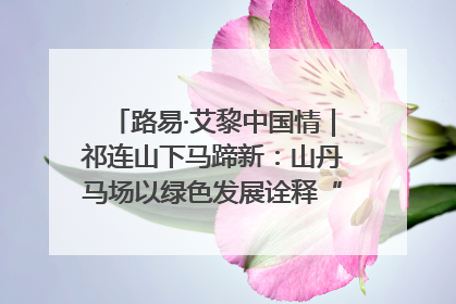 路易·艾黎中国情｜祁连山下马蹄新：山丹马场以绿色发展诠释“两山”理论实践