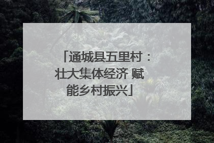 通城县五里村：壮大集体经济 赋能乡村振兴