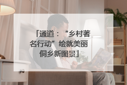 通道：“乡村著名行动”绘就美丽侗乡新图景