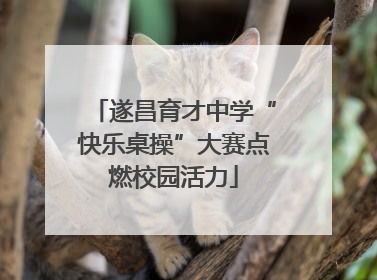 遂昌育才中学“快乐桌操”大赛点燃校园活力