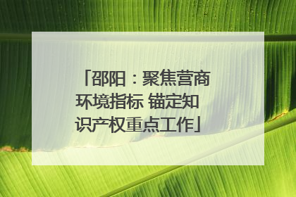 邵阳：聚焦营商环境指标 锚定知识产权重点工作