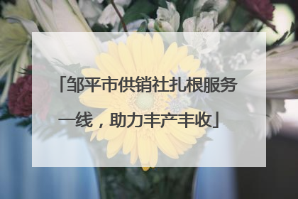 邹平市供销社扎根服务一线，助力丰产丰收