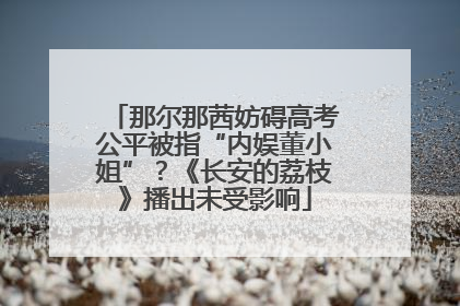 那尔那茜妨碍高考公平被指“内娱董小姐”？《长安的荔枝》播出未受影响