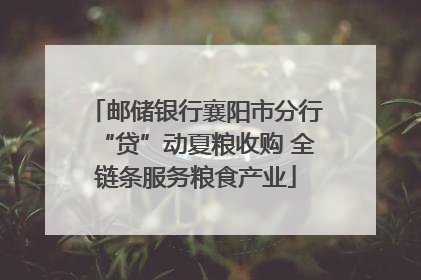 邮储银行襄阳市分行“贷”动夏粮收购 全链条服务粮食产业