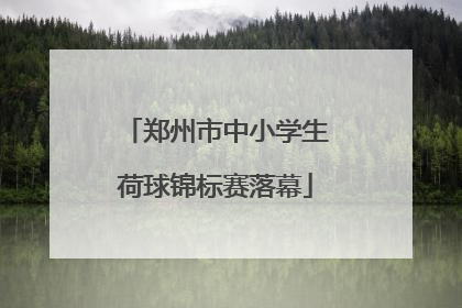 郑州市中小学生荷球锦标赛落幕