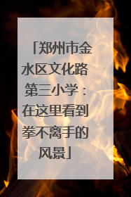 郑州市金水区文化路第三小学：在这里看到拳不离手的风景