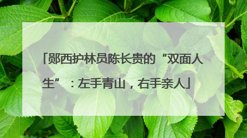 郧西护林员陈长贵的“双面人生”：左手青山，右手亲人