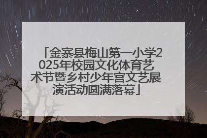 金寨县梅山第一小学2025年校园文化体育艺术节暨乡村少年宫文艺展演活动圆满落幕
