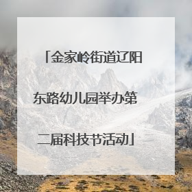 金家岭街道辽阳东路幼儿园举办第二届科技节活动