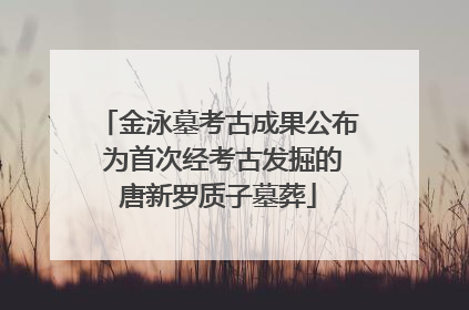 金泳墓考古成果公布 为首次经考古发掘的唐新罗质子墓葬