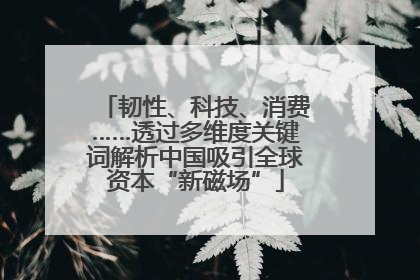 韧性、科技、消费……透过多维度关键词解析中国吸引全球资本“新磁场”