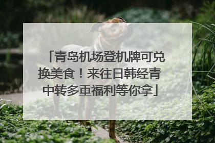 青岛机场登机牌可兑换美食！来往日韩经青中转多重福利等你拿