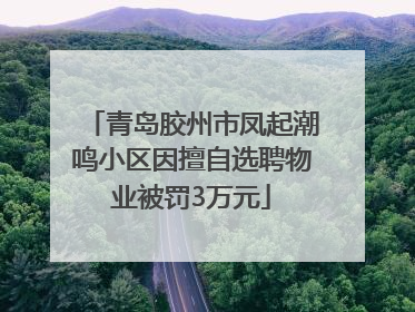 青岛胶州市凤起潮鸣小区因擅自选聘物业被罚3万元
