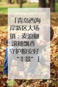 青岛西海岸新区大场镇：麦浪翻滚穗飘香 守护粮安好“丰景”